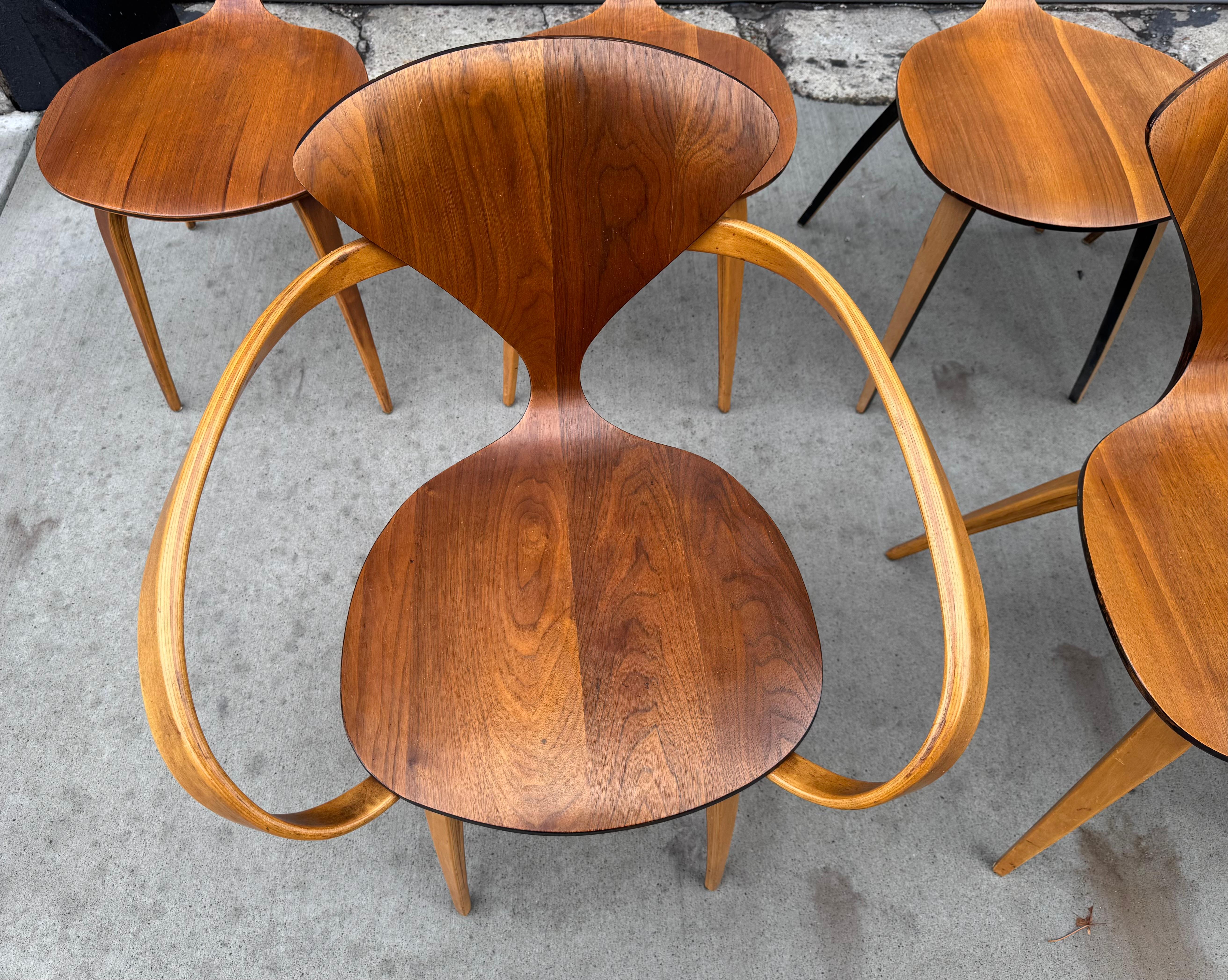 Norman Cherner Plycraft Ensemble de 6 chaises de salle à manger sculpturales Moderne du milieu du siècle dernier Bon état - En vente à Buffalo, NY