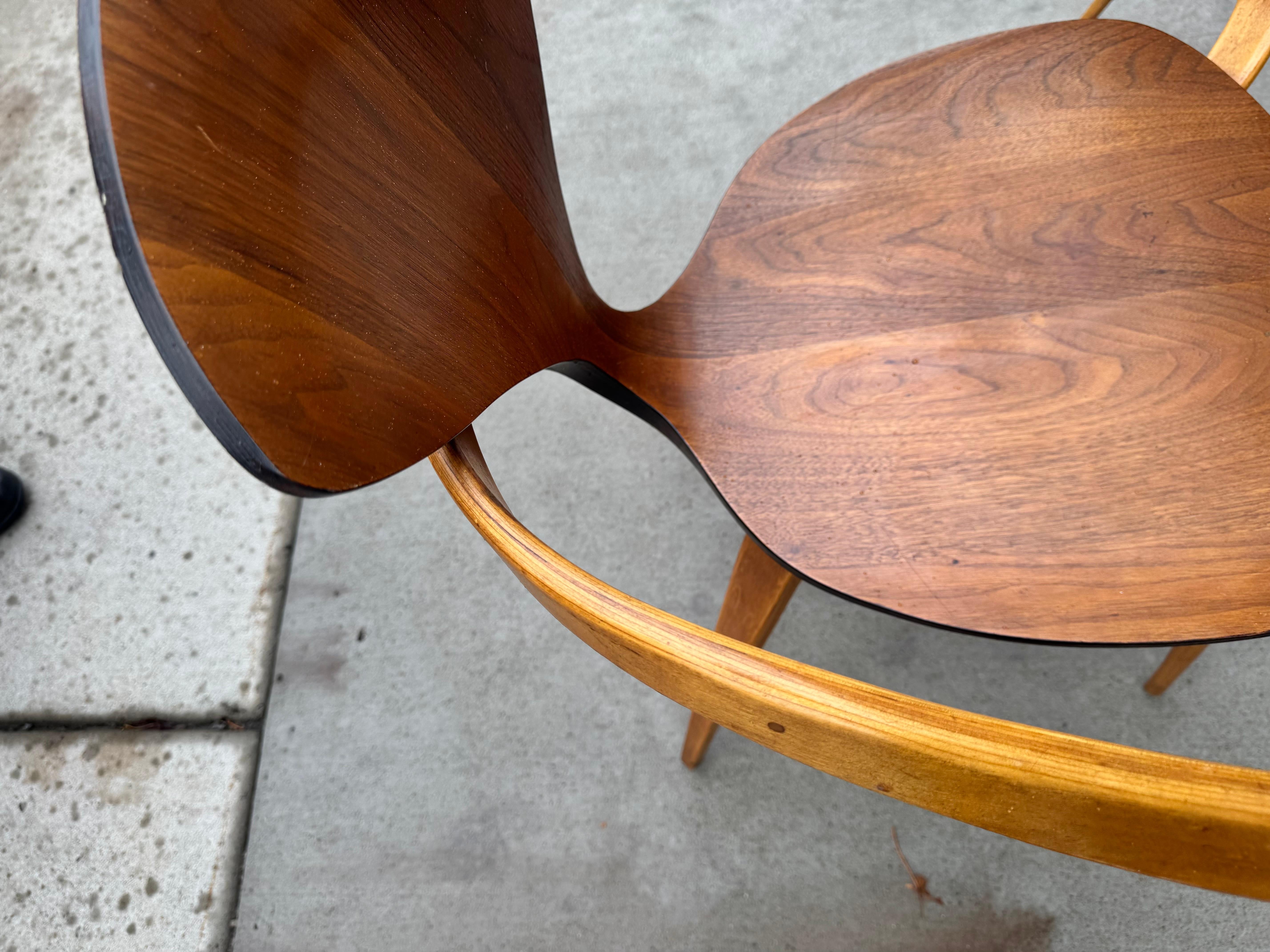 Norman Cherner Plycraft Ensemble de 6 chaises de salle à manger sculpturales Moderne du milieu du siècle dernier en vente 1