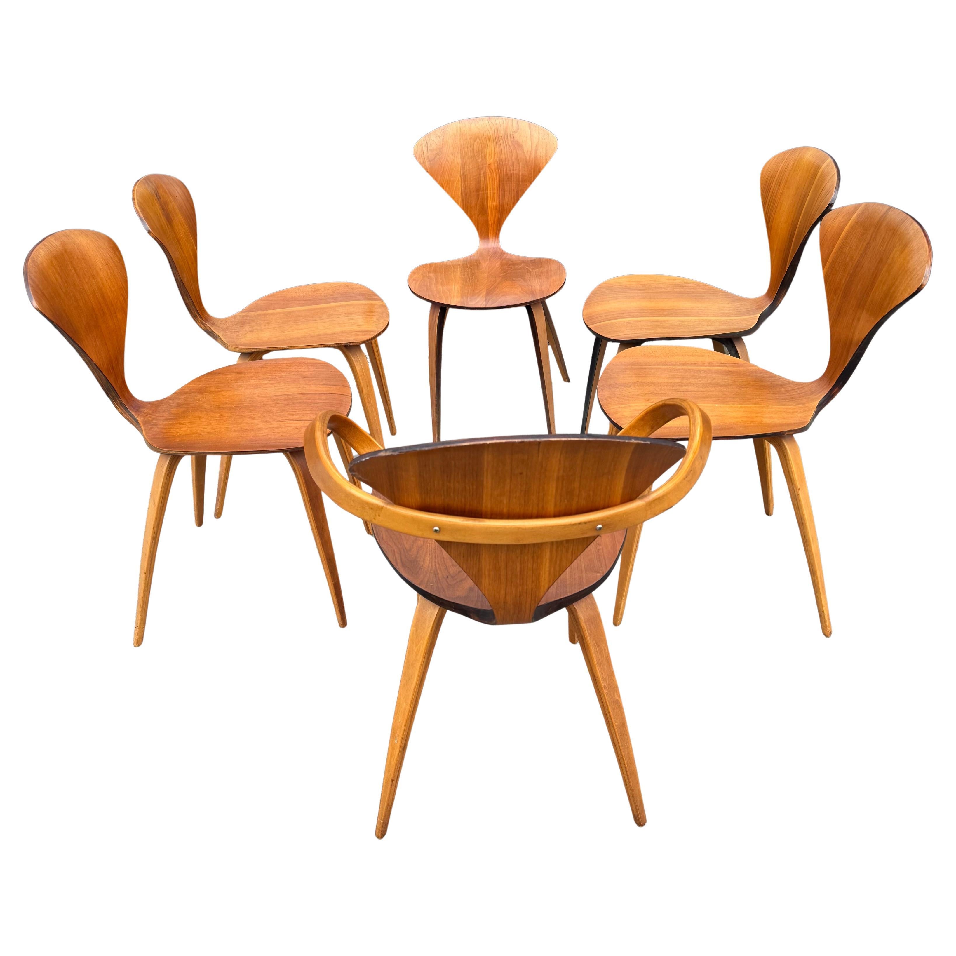 Set di 6 sedie da pranzo scultoree di Norman Cherner Mid Century Modern