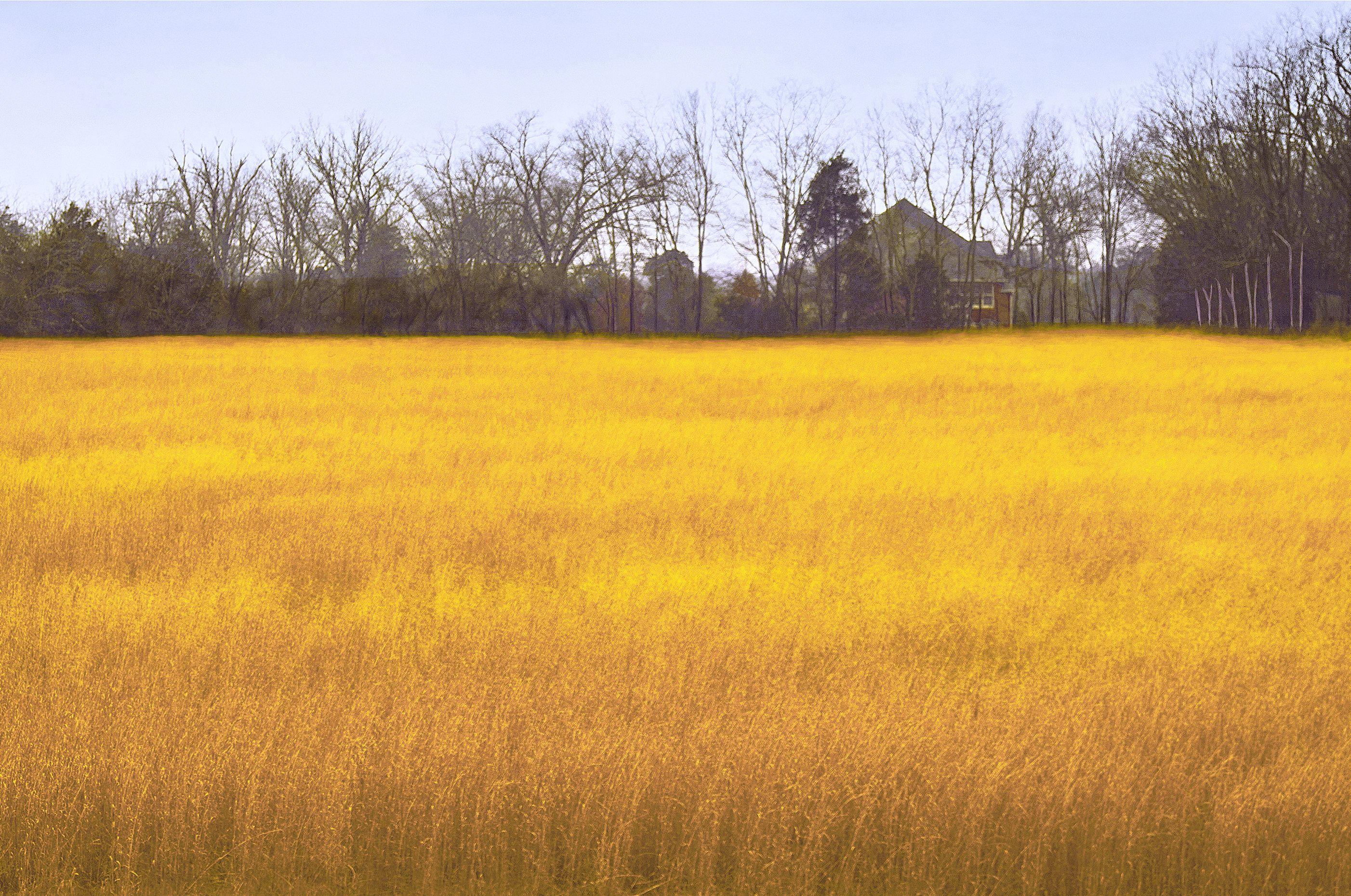 Norman Lerner Color Photograph - Autumn Fields, Photograph, Archival Ink Jet