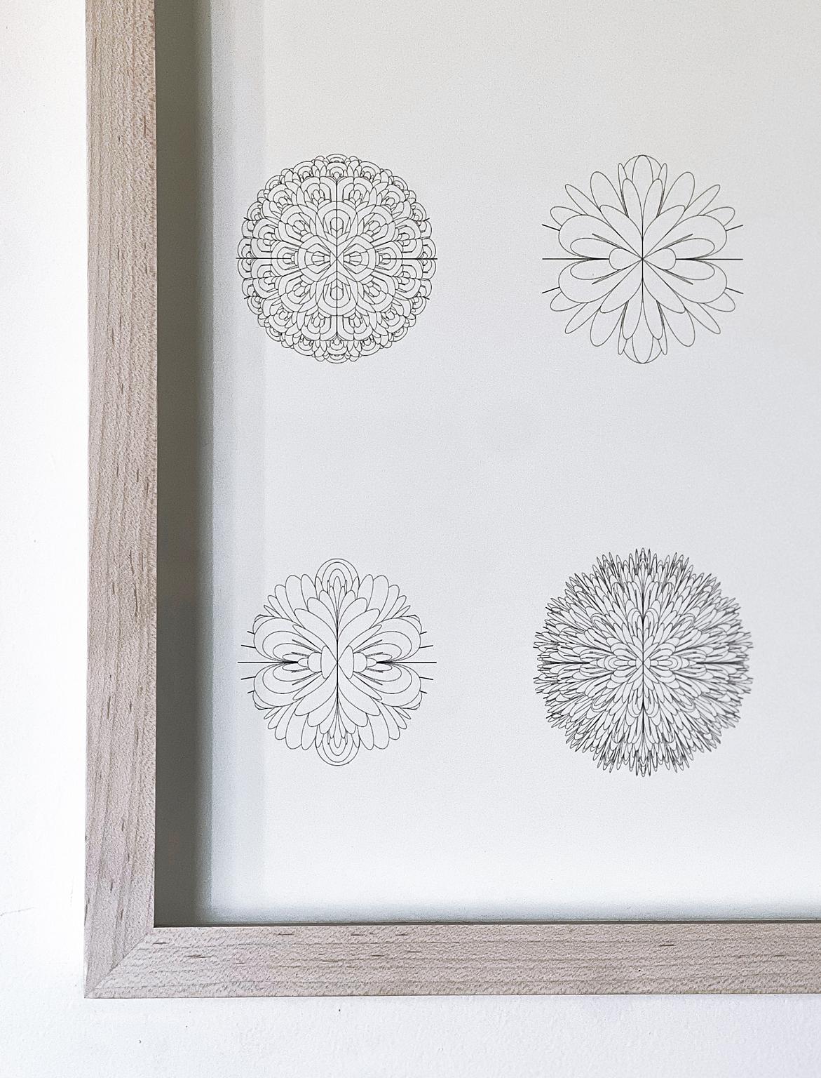 Bloom Algorithm No. 1 from the Bloom Series by Norman Mooney
Digital pigment print, mounted and framed
Edition #6 of 25

Inspired by the work of the 19th century biologist Ernst Haeckel and his study of microbes, the Bloom series is an exploration