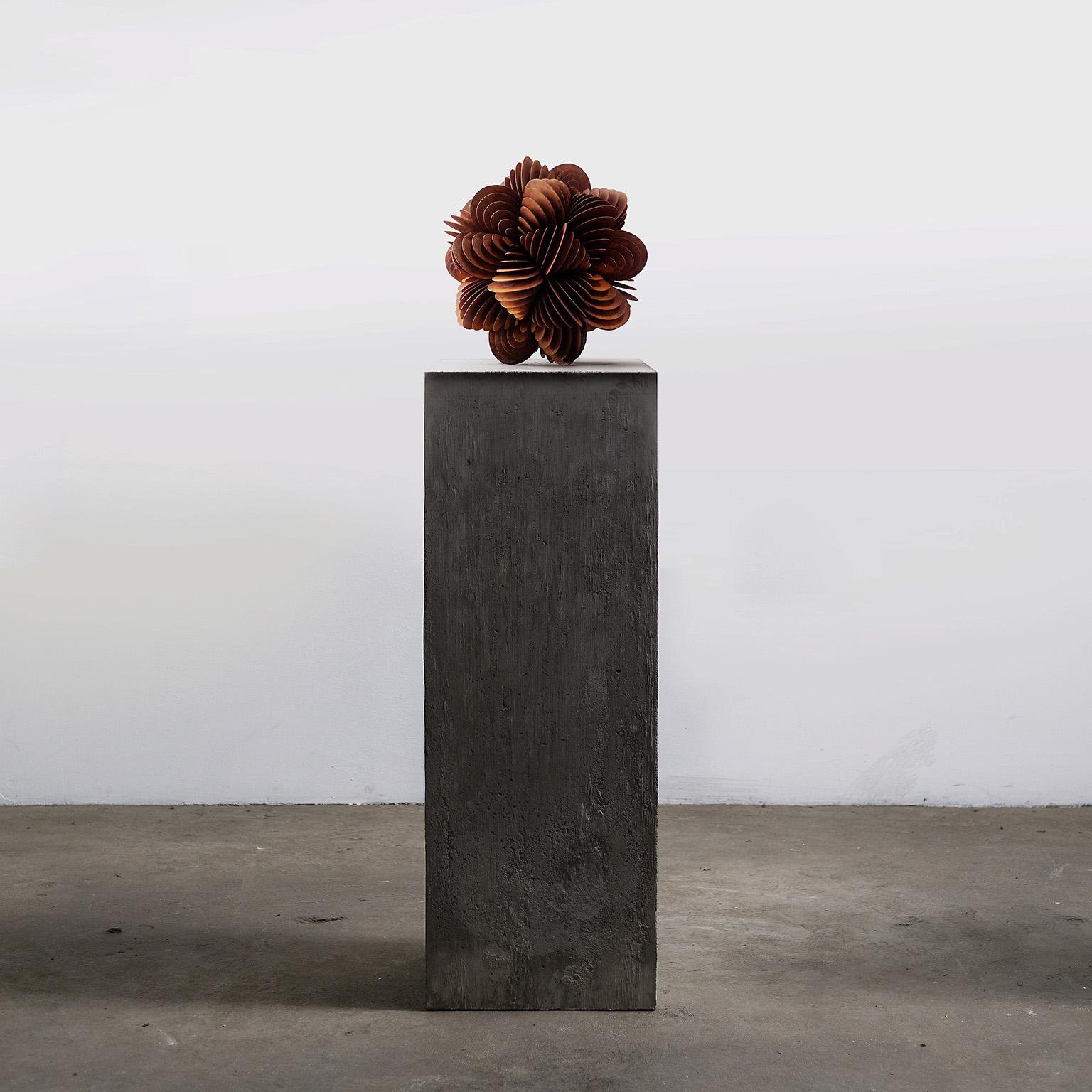 Bloom No. 3 from the Bloom Series by Norman Mooney
Edition of 10 + 2AP
Corten steel

Inspired by the work of the 19th century biologist Ernst Haeckel and his study of microbes, the Bloom series is an exploration into and a study of the geometry of