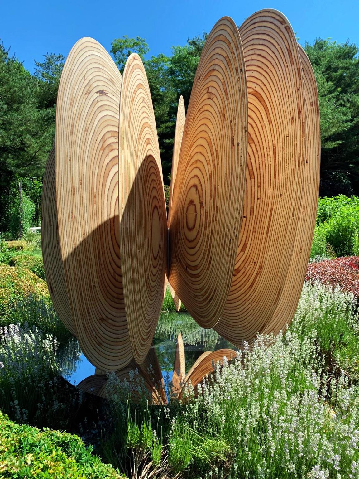 large wooden butterfly