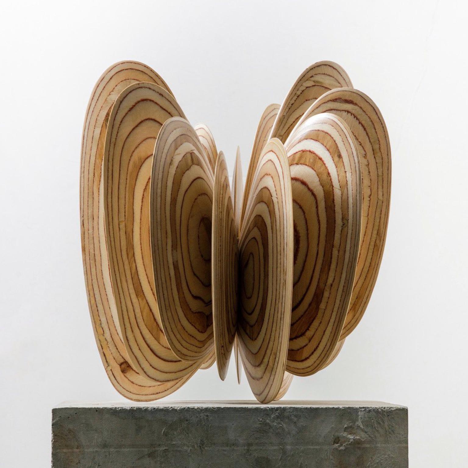 Norman Mooney Abstract Sculpture - "Butterfly Effect No. 1", Organic, Abstract Wooden Sculpture, Table-Top Size