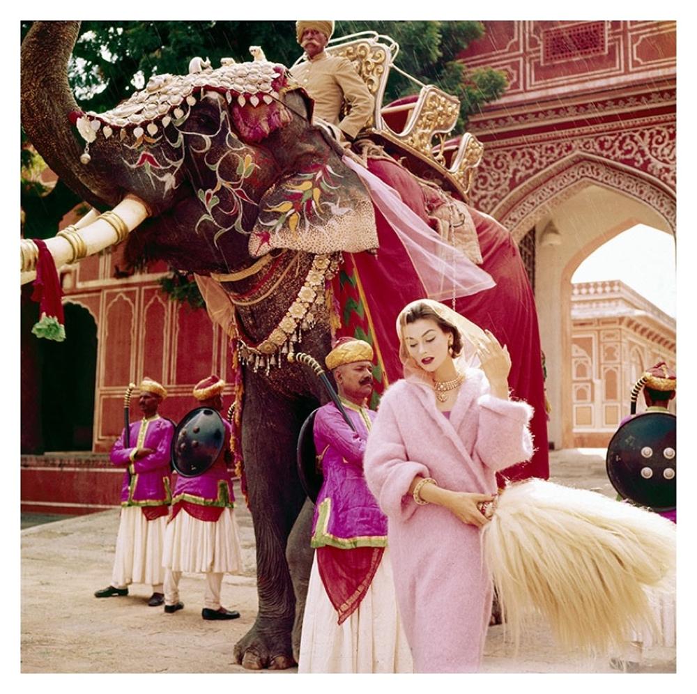 Anne Gunning für Vogue Estate Print 
von Norman Parkinson

Modemodell Anne Gunning in einem rosa Mohairmantel vor dem Stadtpalast mit einem Elefanten, Jaipur, Indien, fotografiert für die Zeitschrift Vogue im November 1956.

Papierformat 20 x 24
