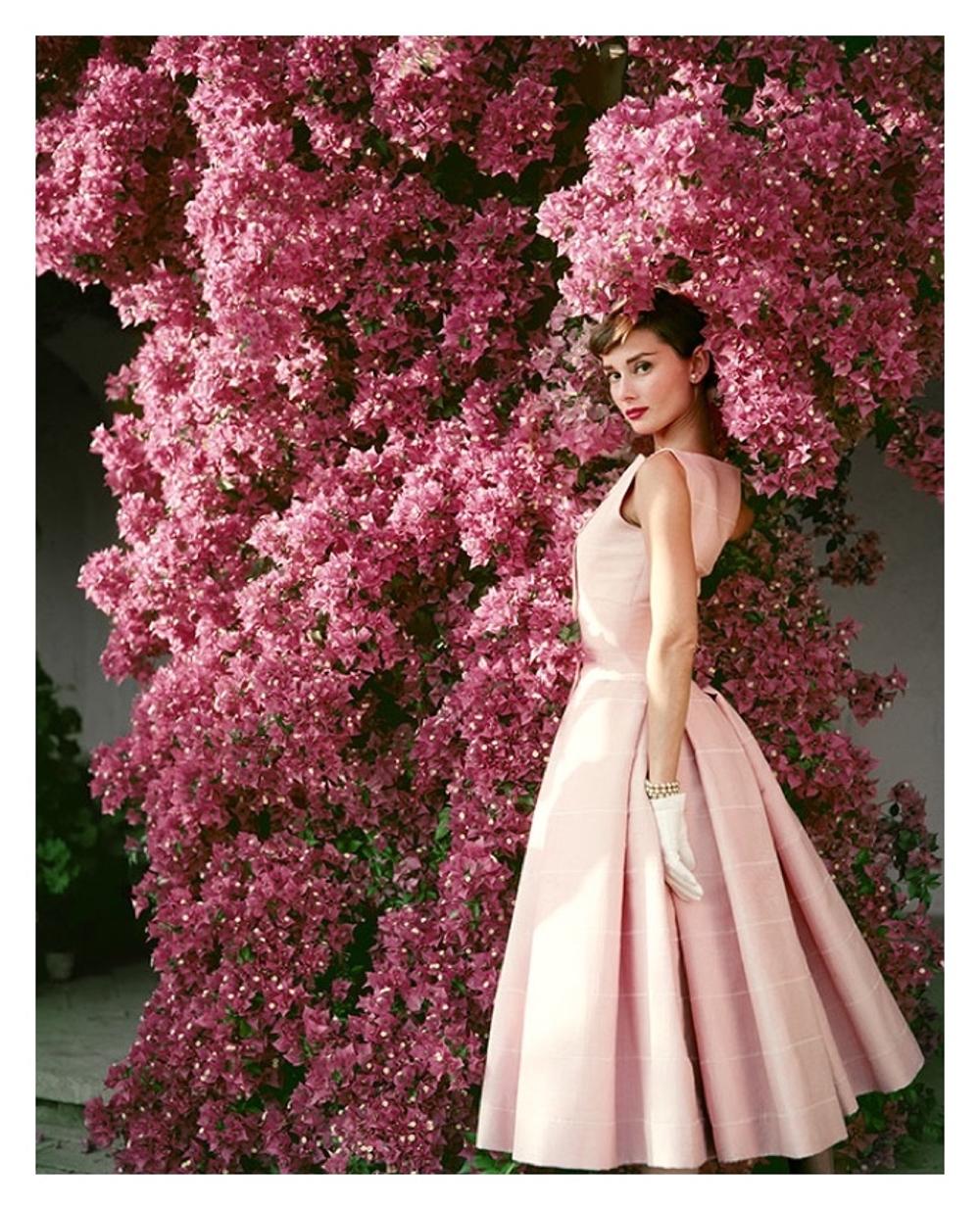 Norman Parkinson Figurative Photograph – Audrey Hepburn Rosa Blumen, limitierter Nachlassdruck