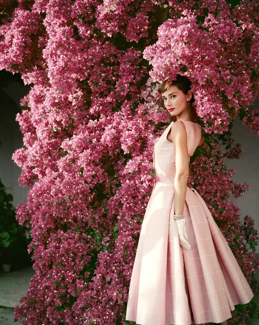 Norman Parkinson Portrait Photograph - Audrey Hepburn with Flowers