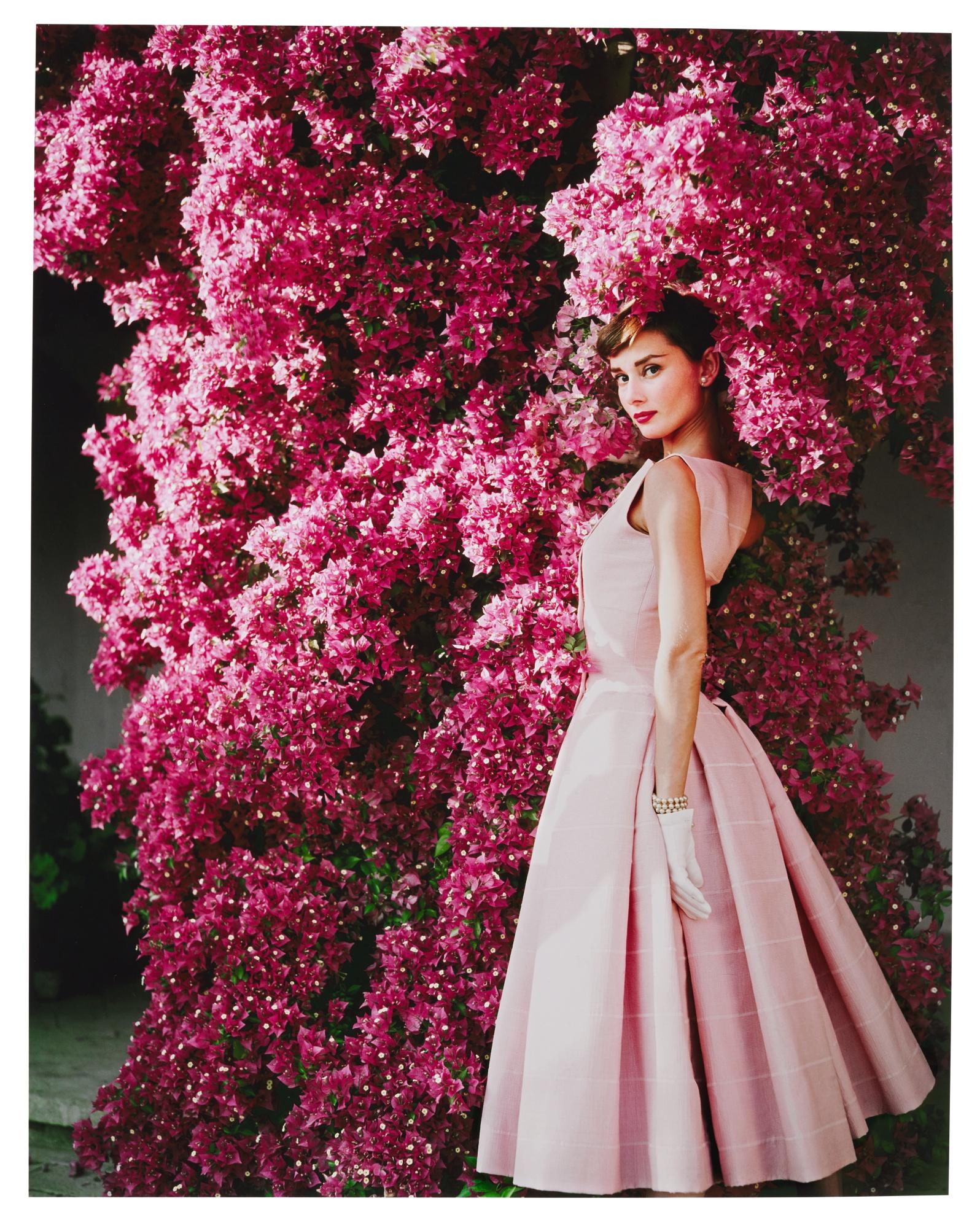 Norman Parkinson
Audrey Hepburn avec des fleurs
1955
60 x 40 pouces 
Cachet de la succession et numérotation au verso

Norman ParkCon, né en 1913 et décédé en 1990, était une icône dans le domaine de la photographie de mode du XXe siècle, réputé