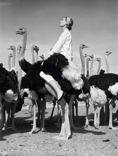 Retro Norman Parkinson 'Wenda and Ostriches'