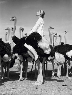 Wenda und Ostriches, 1981, Gelatinesilberdruck