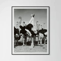 Wenda et les autruches