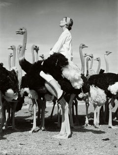 Vintage Wenda and Ostriches