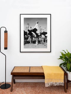 Wenda And Ostriches, South Africa, 1951 - Norman Parkinson (Photography)