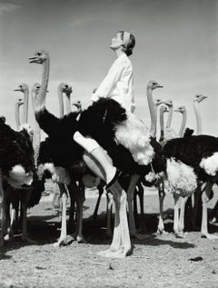 Wenda y avestruces, Sudáfrica, 1951 - Norman Parkinson (Fotografía)