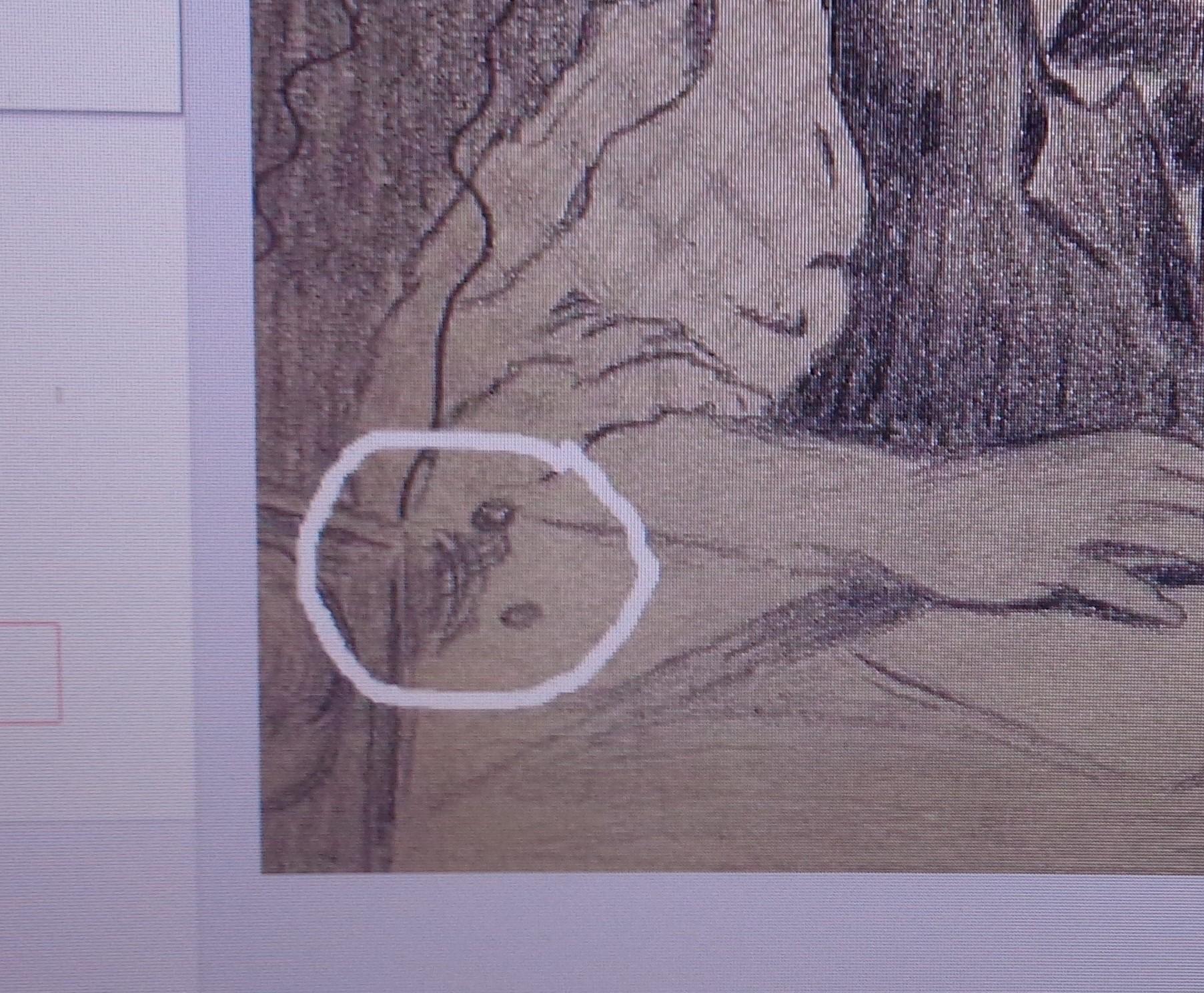 Norman Rockwell 1894-1978 Pencil Drawing Boy and Dog Signed NR Authenticated For Sale 13