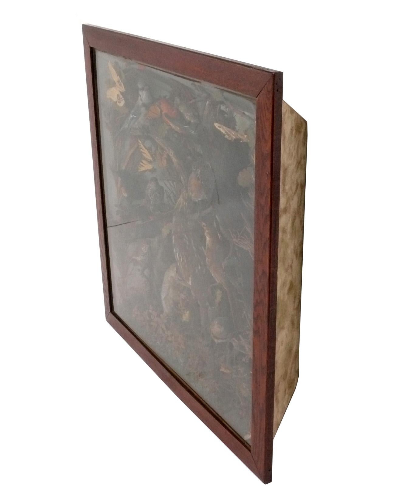 Taxidermie d'oiseaux d'Amérique du Nord Vitrine Diorama 35