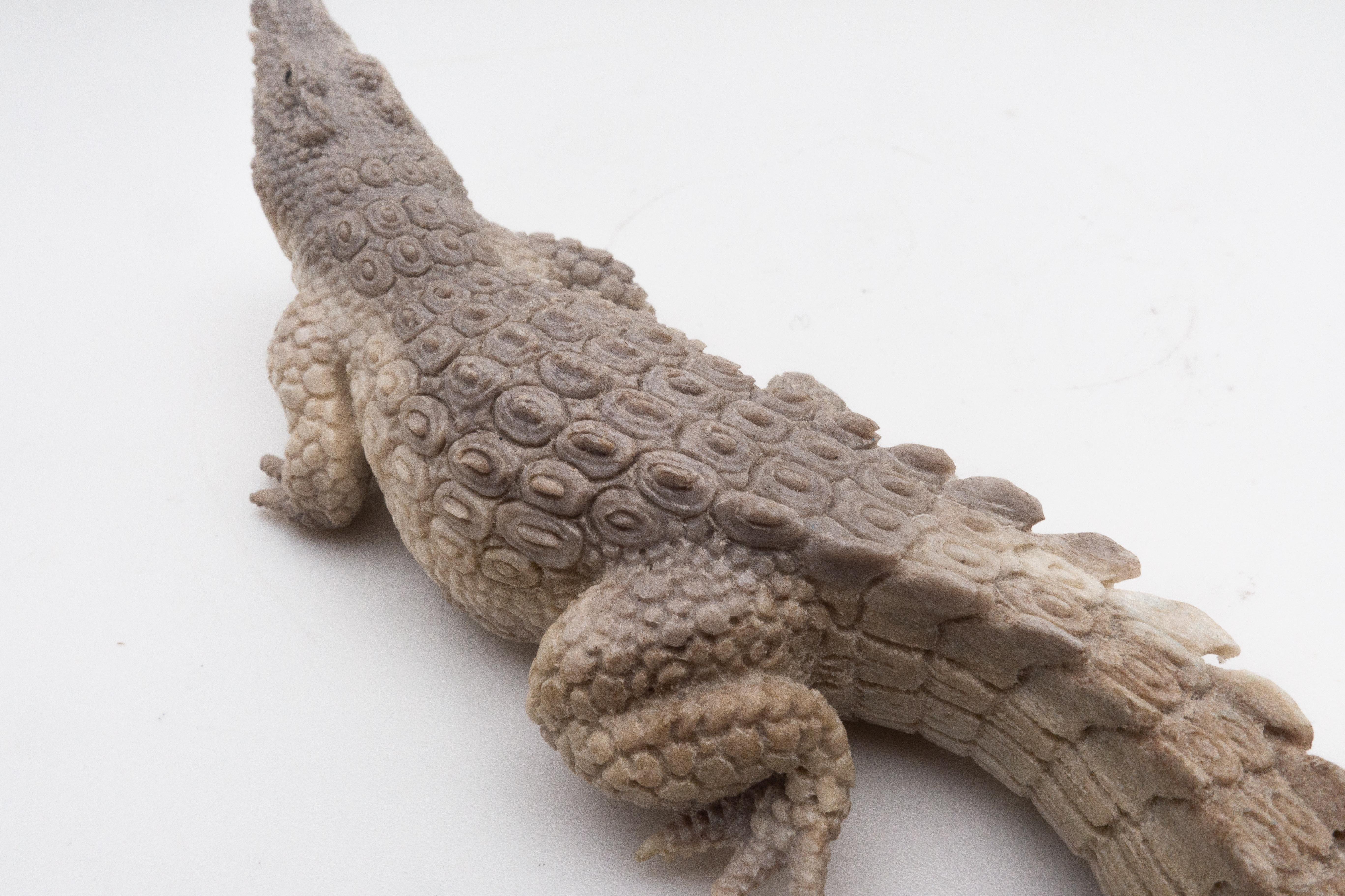 North American Moose Antler Carving of a Crocodile In Excellent Condition In New York, NY