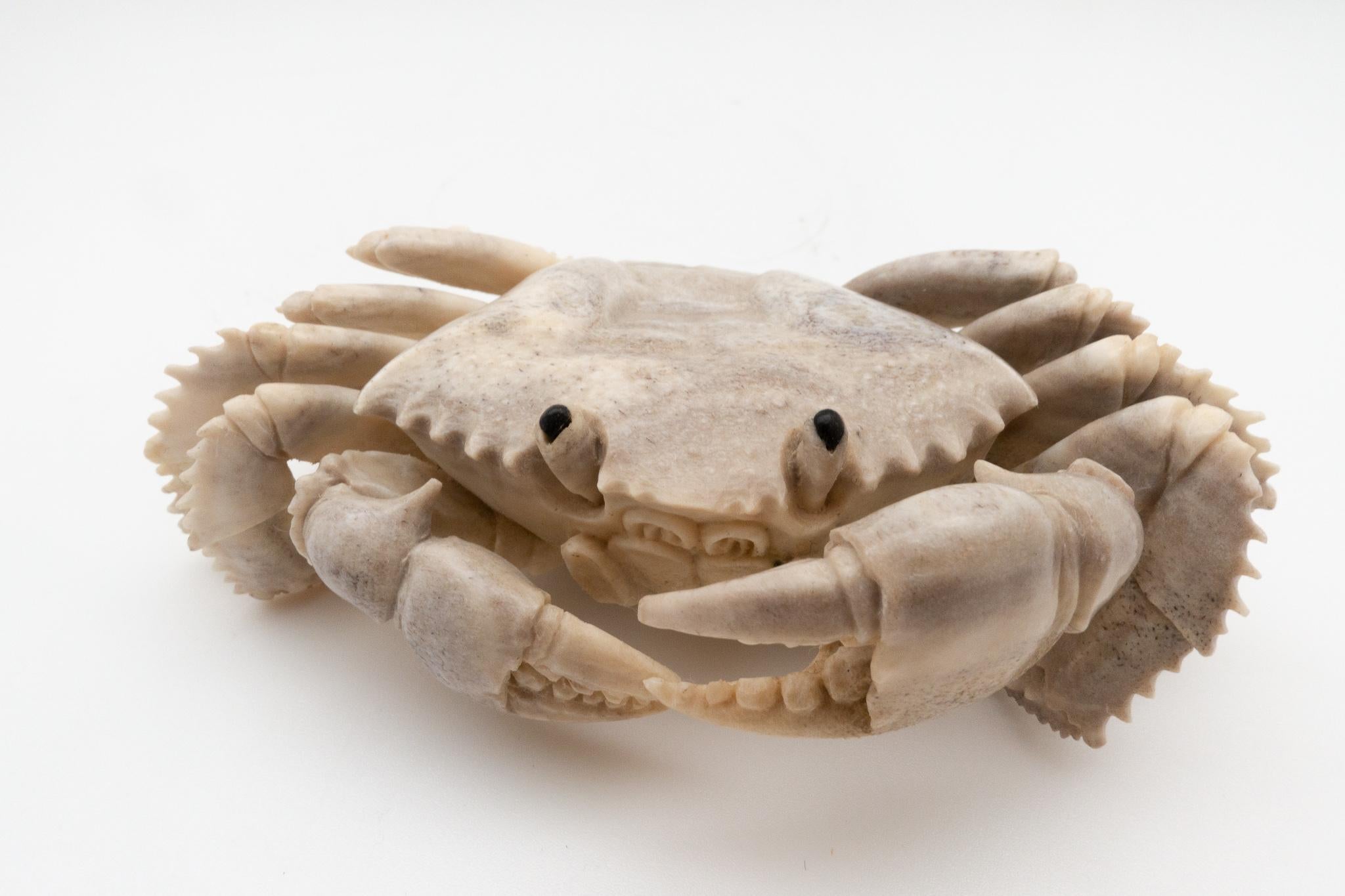 Indonesian North American Moose Antler Carving of Crab