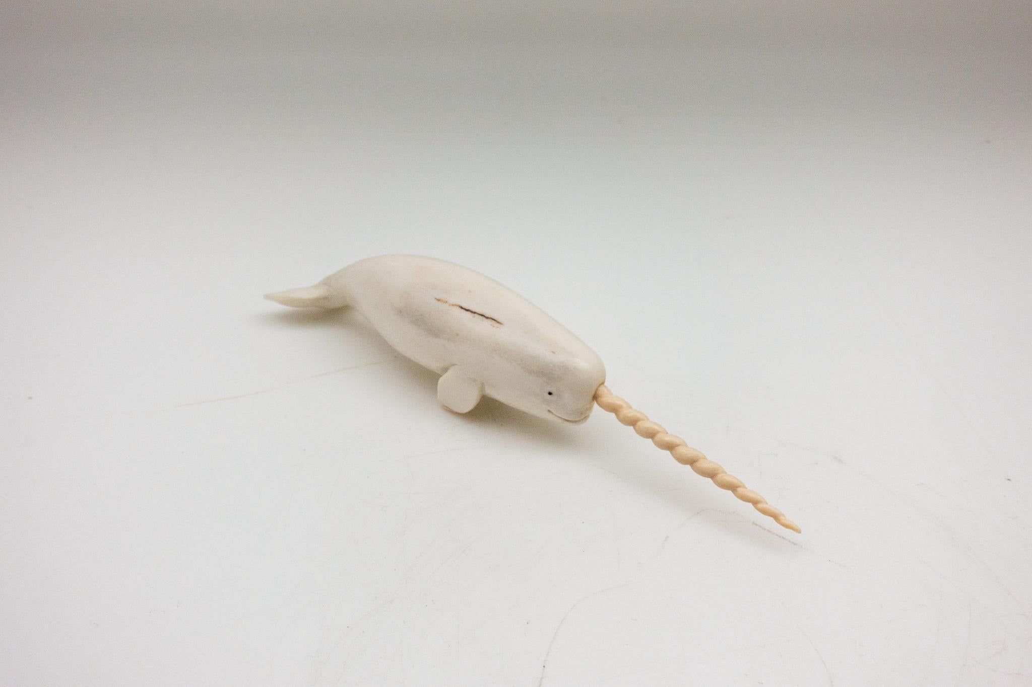 Detailed moose antler carving of a narwhal, from Indonesia. This is a one of a kind object. The moose antler was sourced in North America and then sent to Asia for carving. Quality of ivory, but with sustainability, as the moose naturally shed their