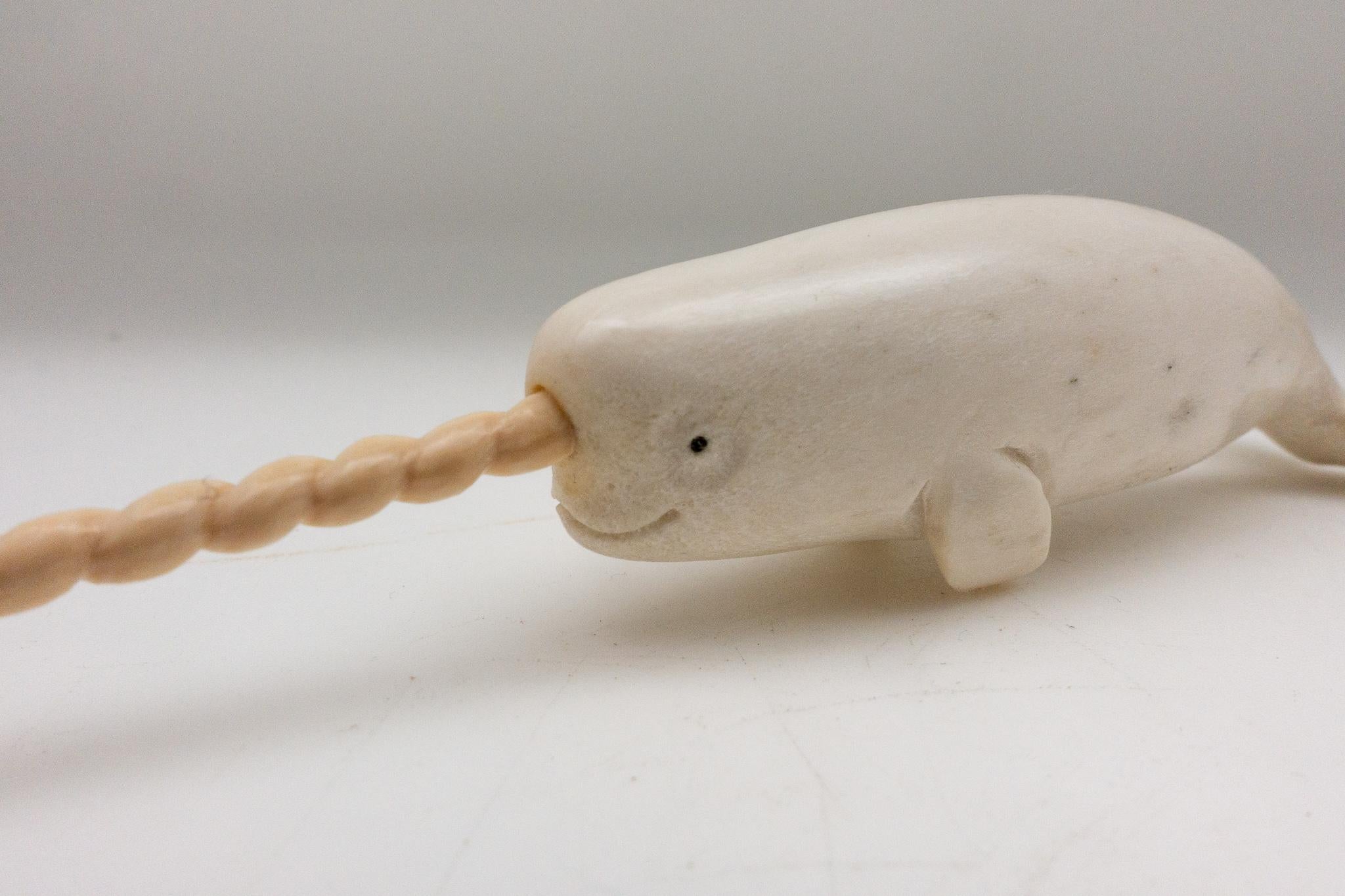 Grand Tour North American Moose Antler Carving of Narwhal
