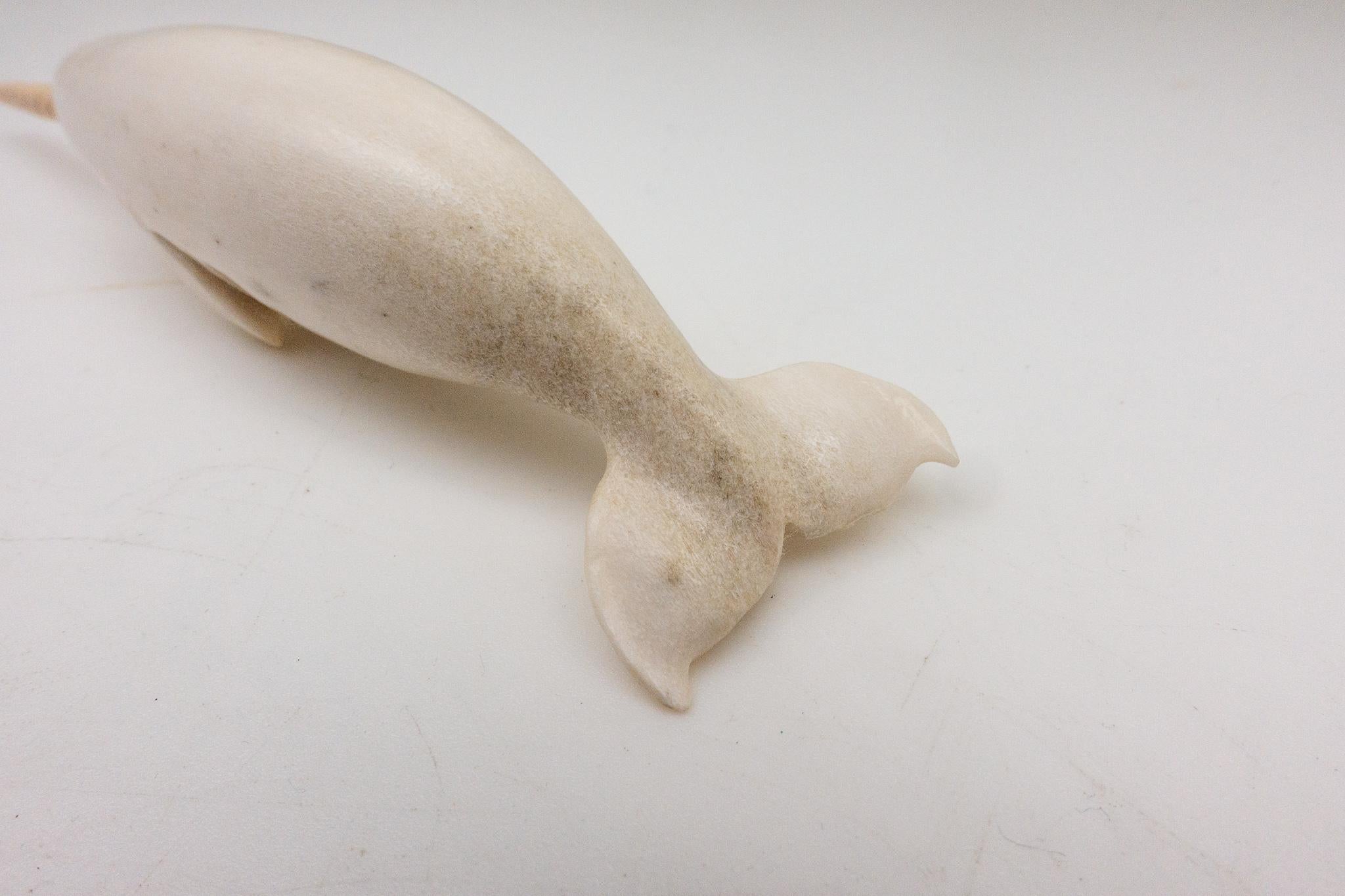 North American Moose Antler Carving of Narwhal In New Condition In New York, NY