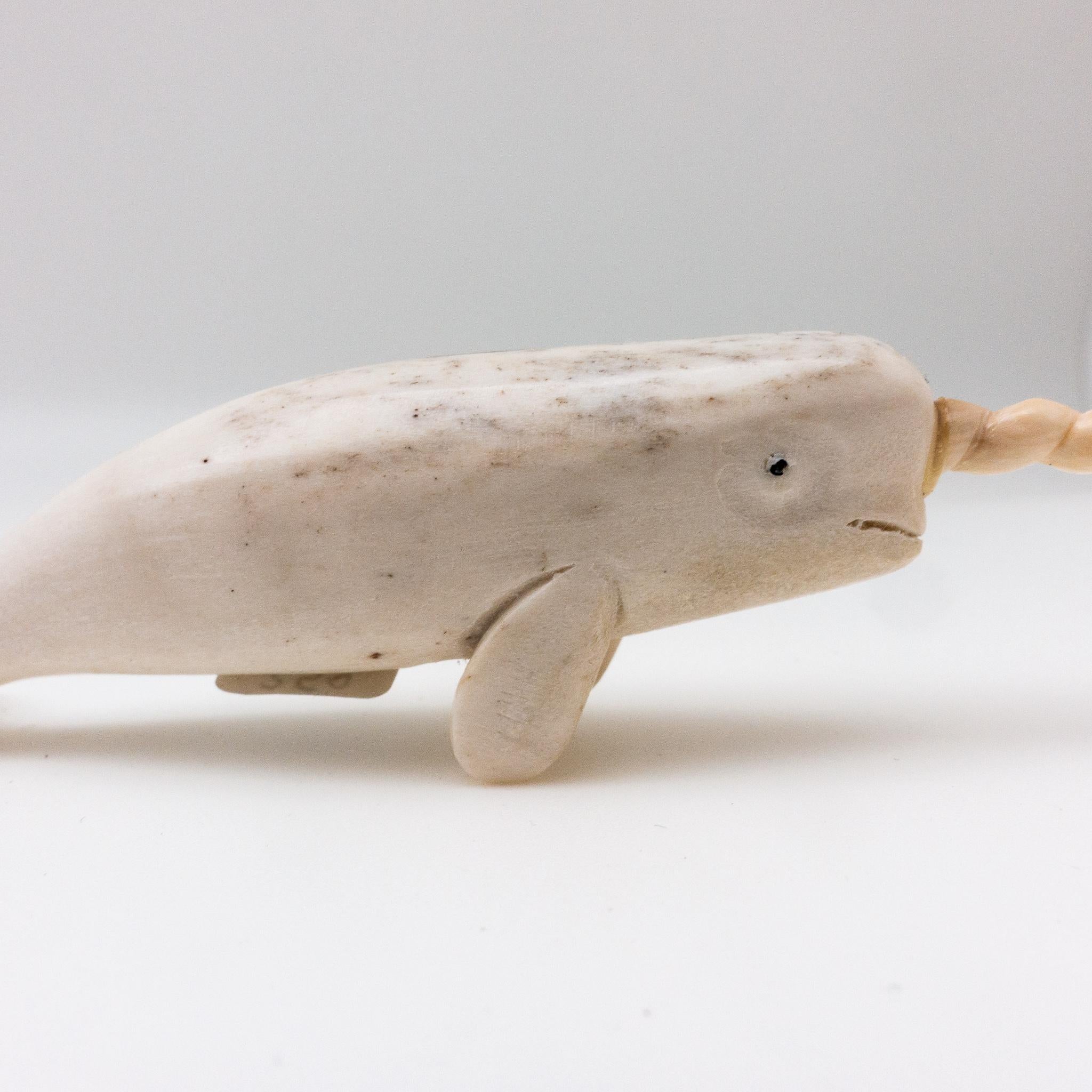 North American Moose Antler Carving of Narwhal In New Condition In New York, NY