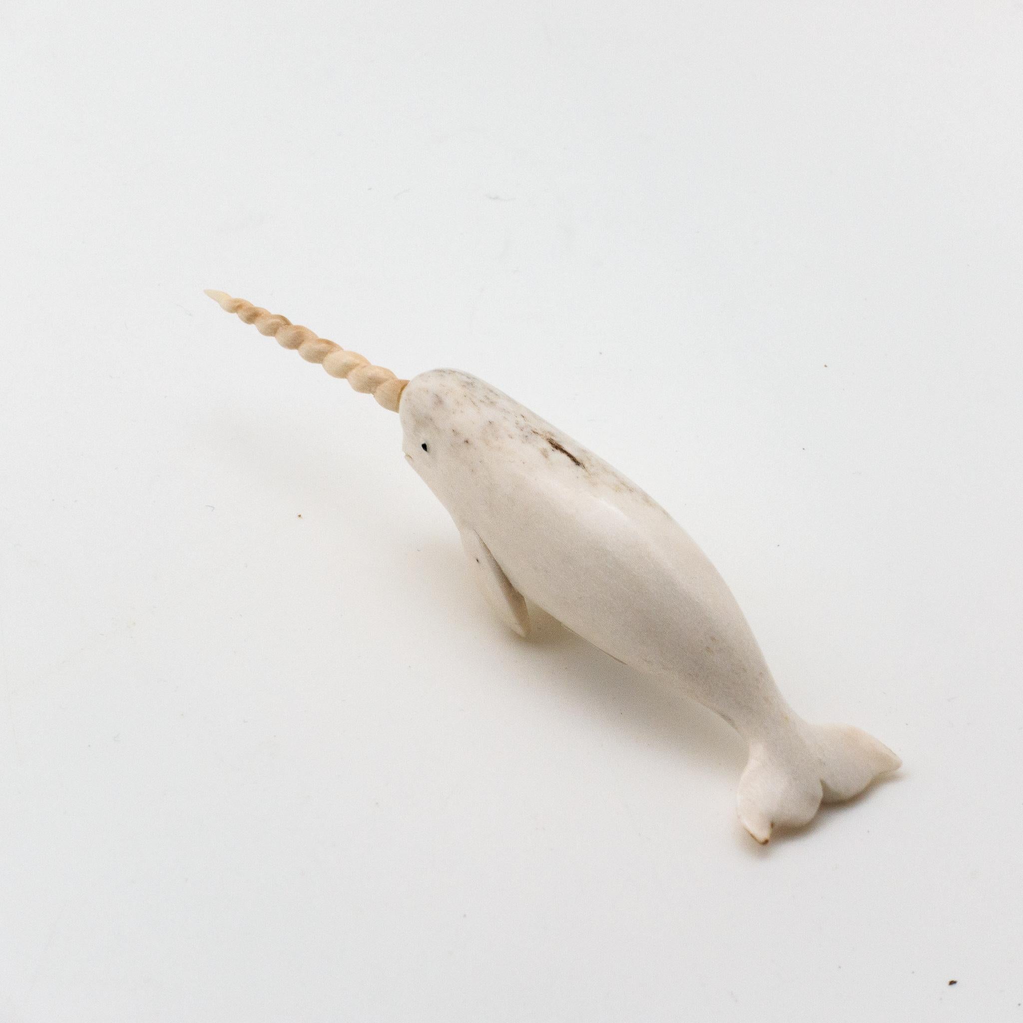 Contemporary North American Moose Antler Carving of Narwhal