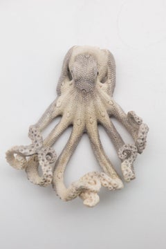 Intaglio di corno d'alce nordamericano di polpo