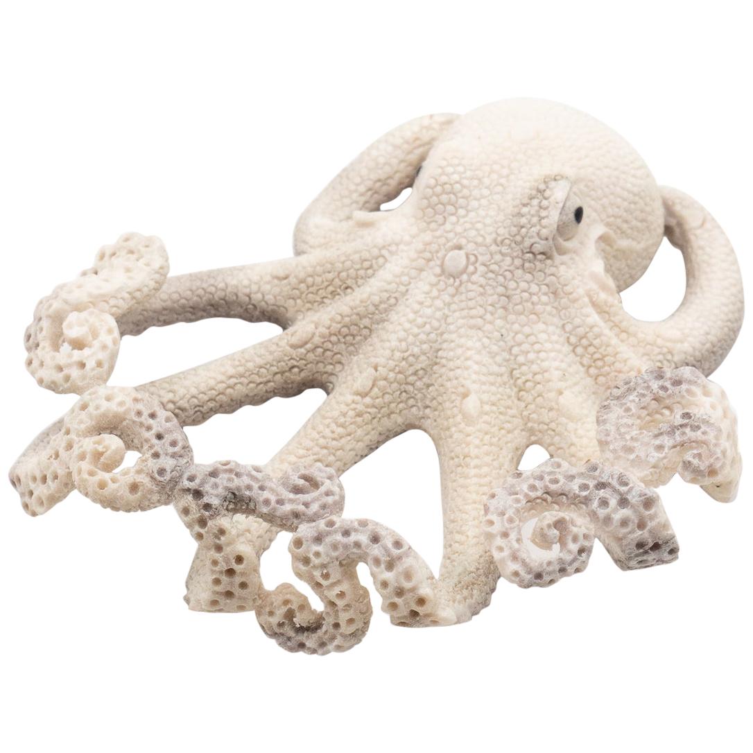 Otto the Octopus Resin Sculpture By White Moose 24x27x15cm **FREE DELIVERY** 