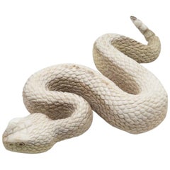 North American Moose Antler Carving of Rattlesnake
