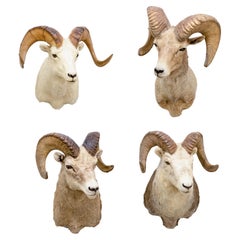 Altri mobili e oggetti da collezione