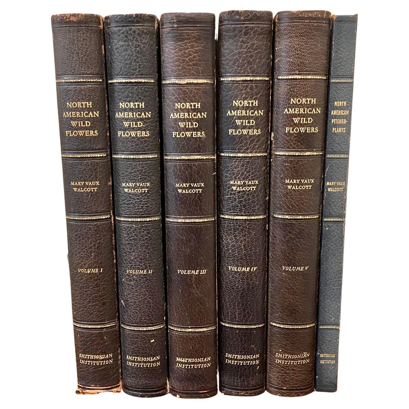 Flores Silvestres de Norteamérica por Mary Vaux Wolcott 6 Volúmenes Edición Limitada Rara en venta