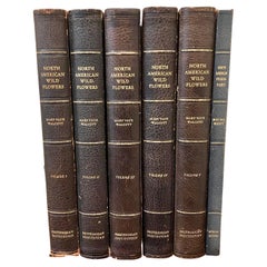 North American Wild Flowers di Mary Vaux Wolcott 6 Volumi Edizione Limitata Raro