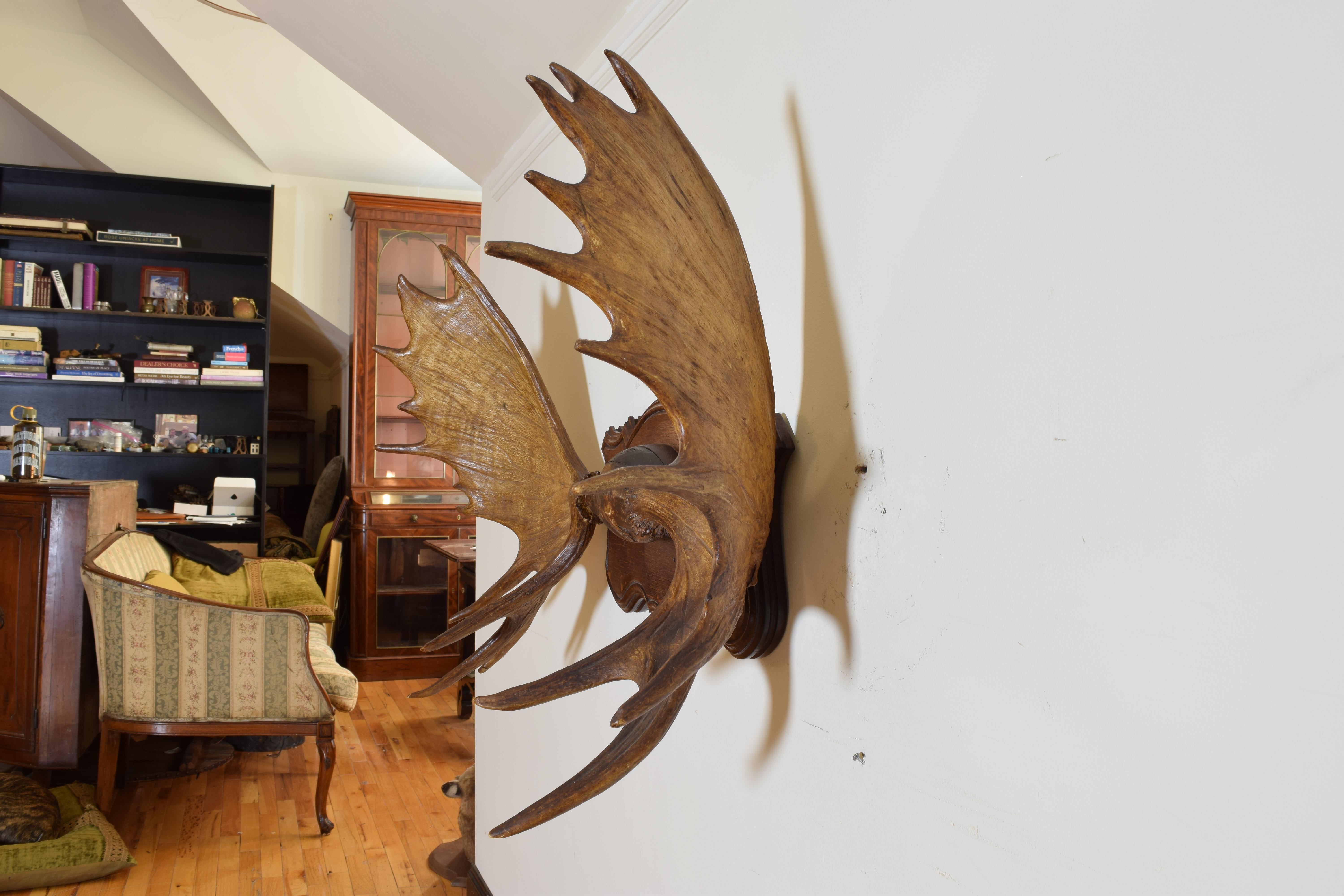 moose antler mount