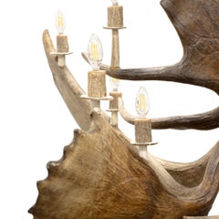 Northern Highland Natural Moose Antler Chandelier