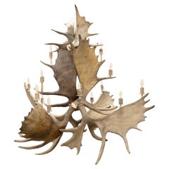 Nord- Highland Natural Moose Geweih-Kronleuchter