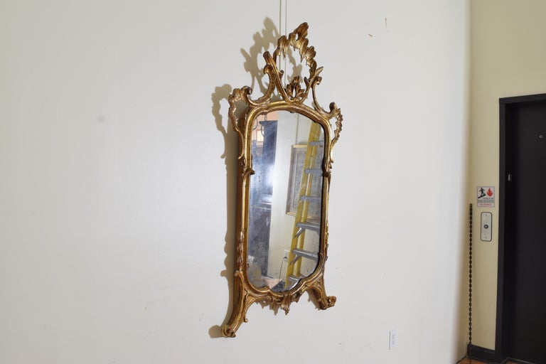 Northern Italian Rococo Period Grotto Style Mirror, Mid-18th Century ...