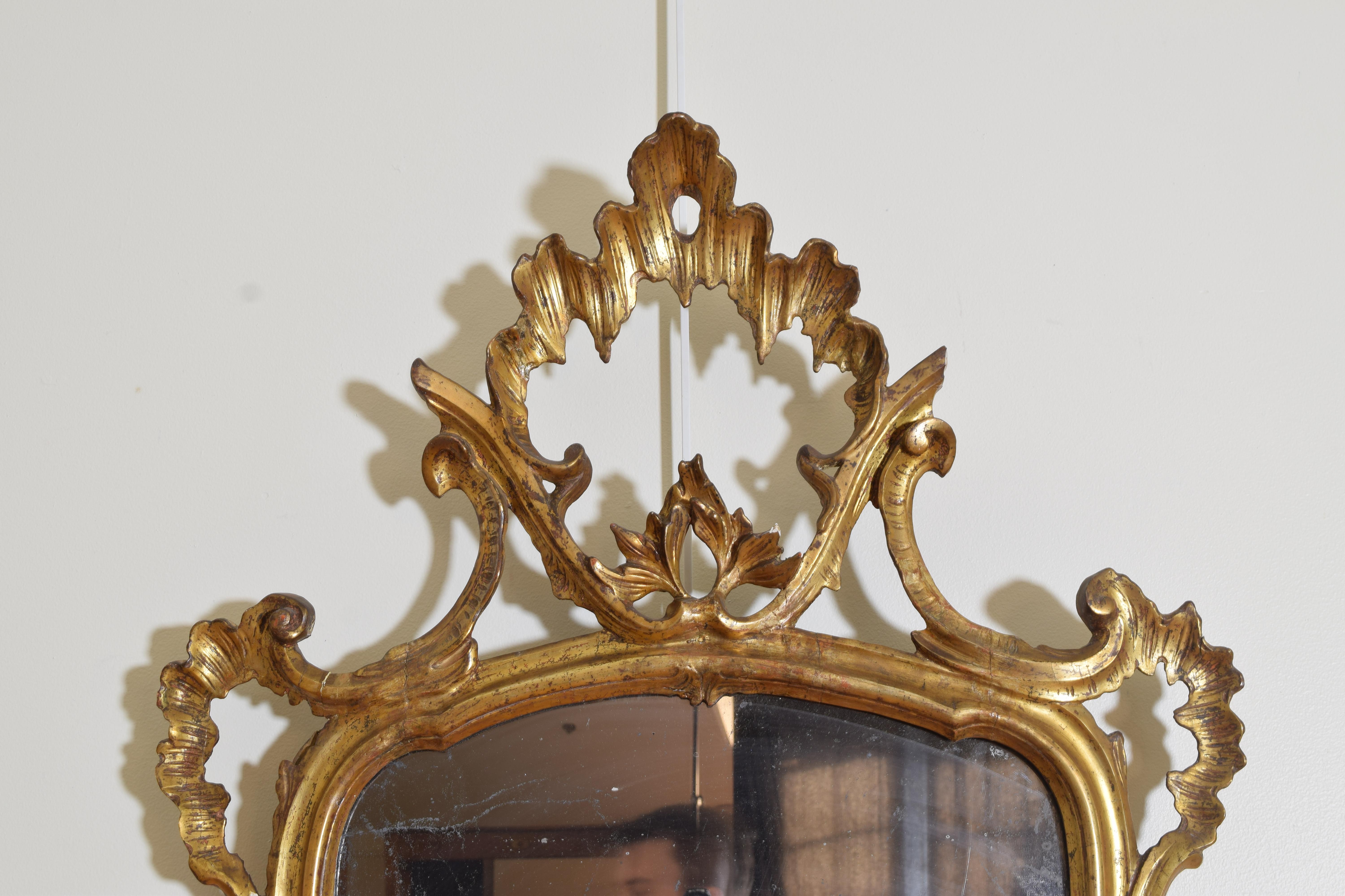 Louis XV Northern Italian Rococo Period Grotto Style Mirror, Mid-18th Century