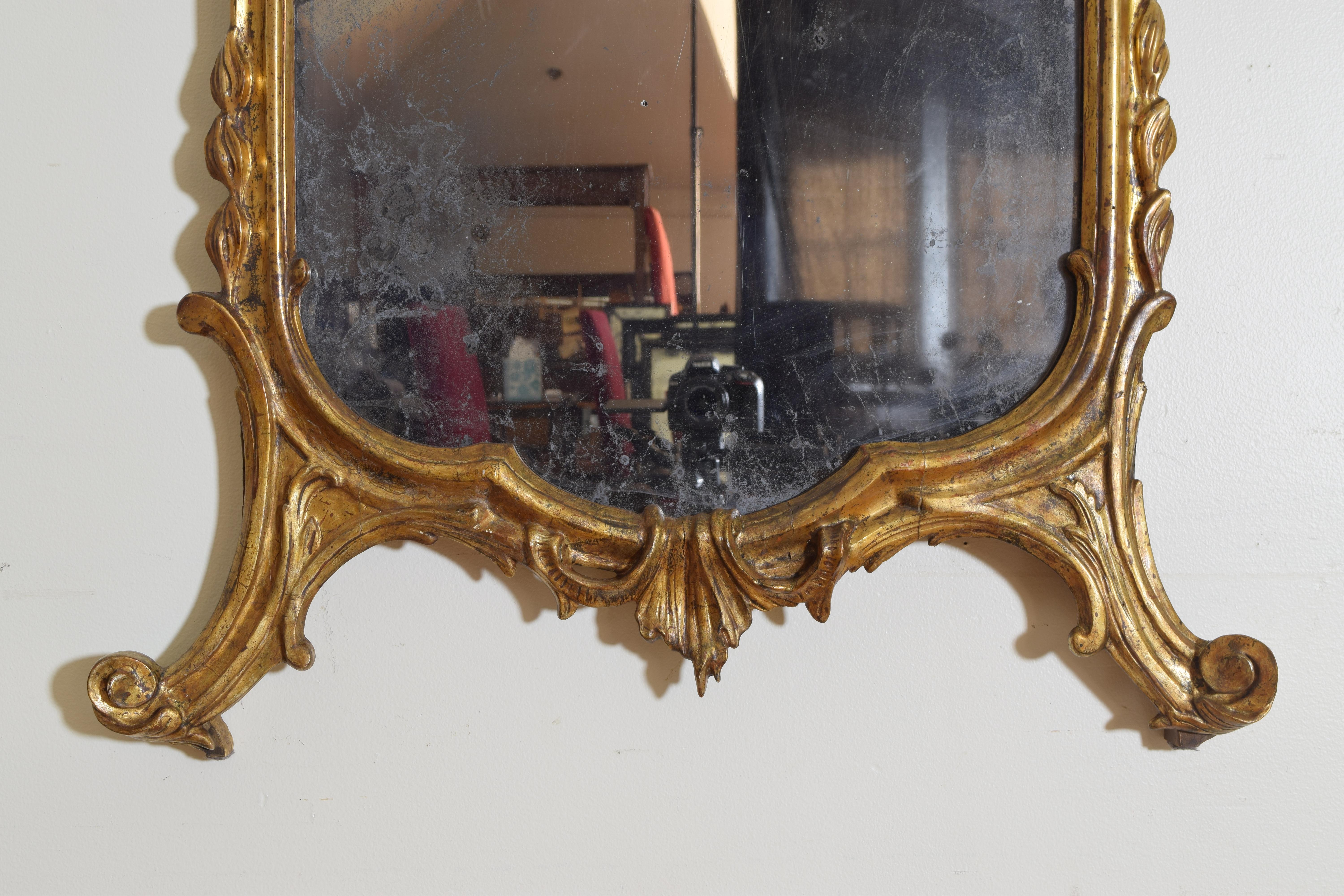 Northern Italian Rococo Period Grotto Style Mirror, Mid-18th Century 2