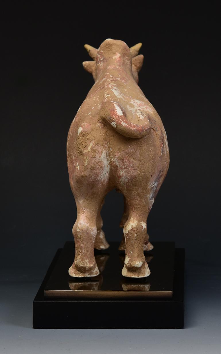 Northern Qi Dynasty, Antique Chinese Pottery Standing Ox Figurine 7