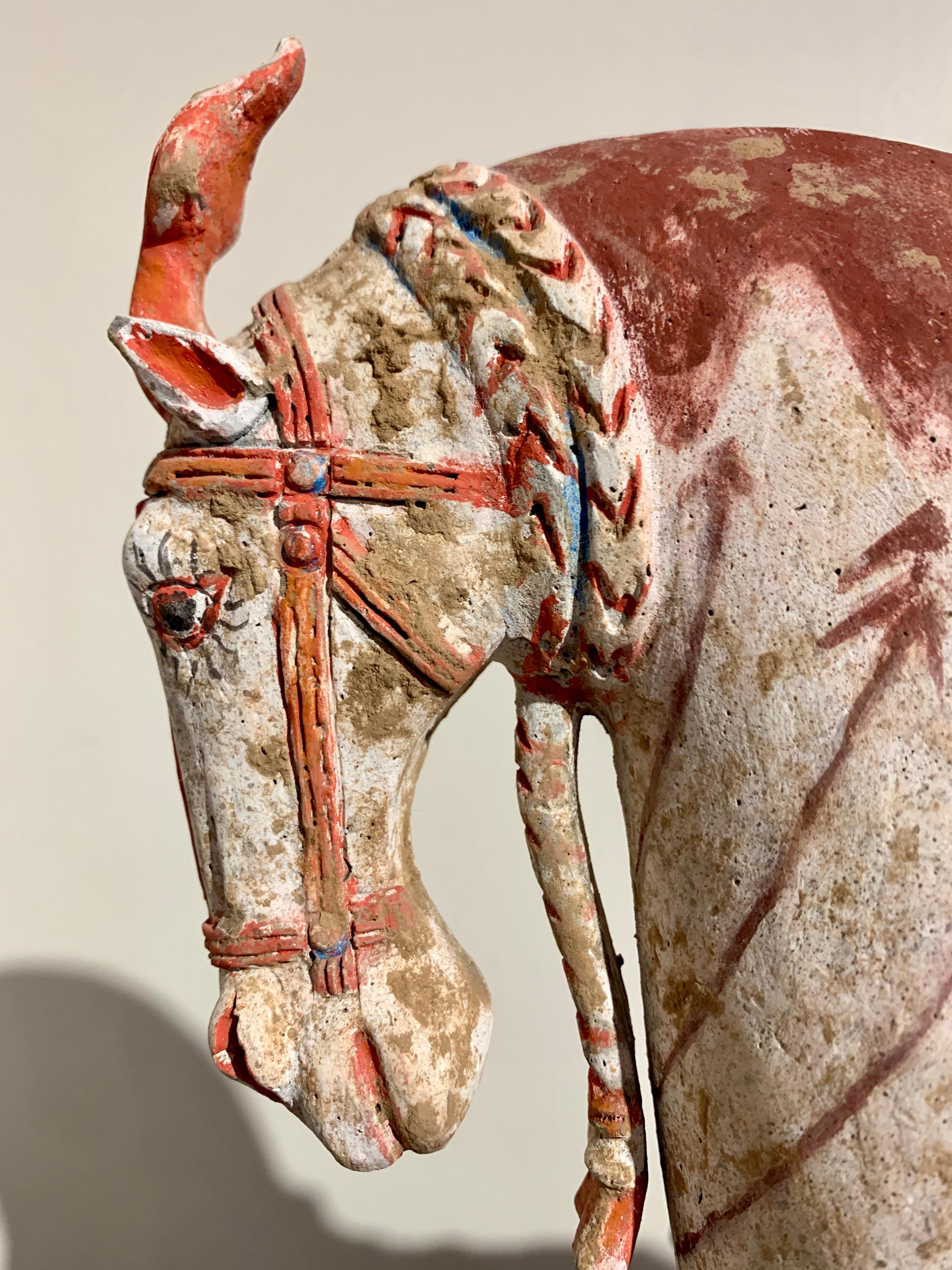 Northern Qi Dynasty Painted Pottery Striding Horse, 6th Century, China For Sale 6