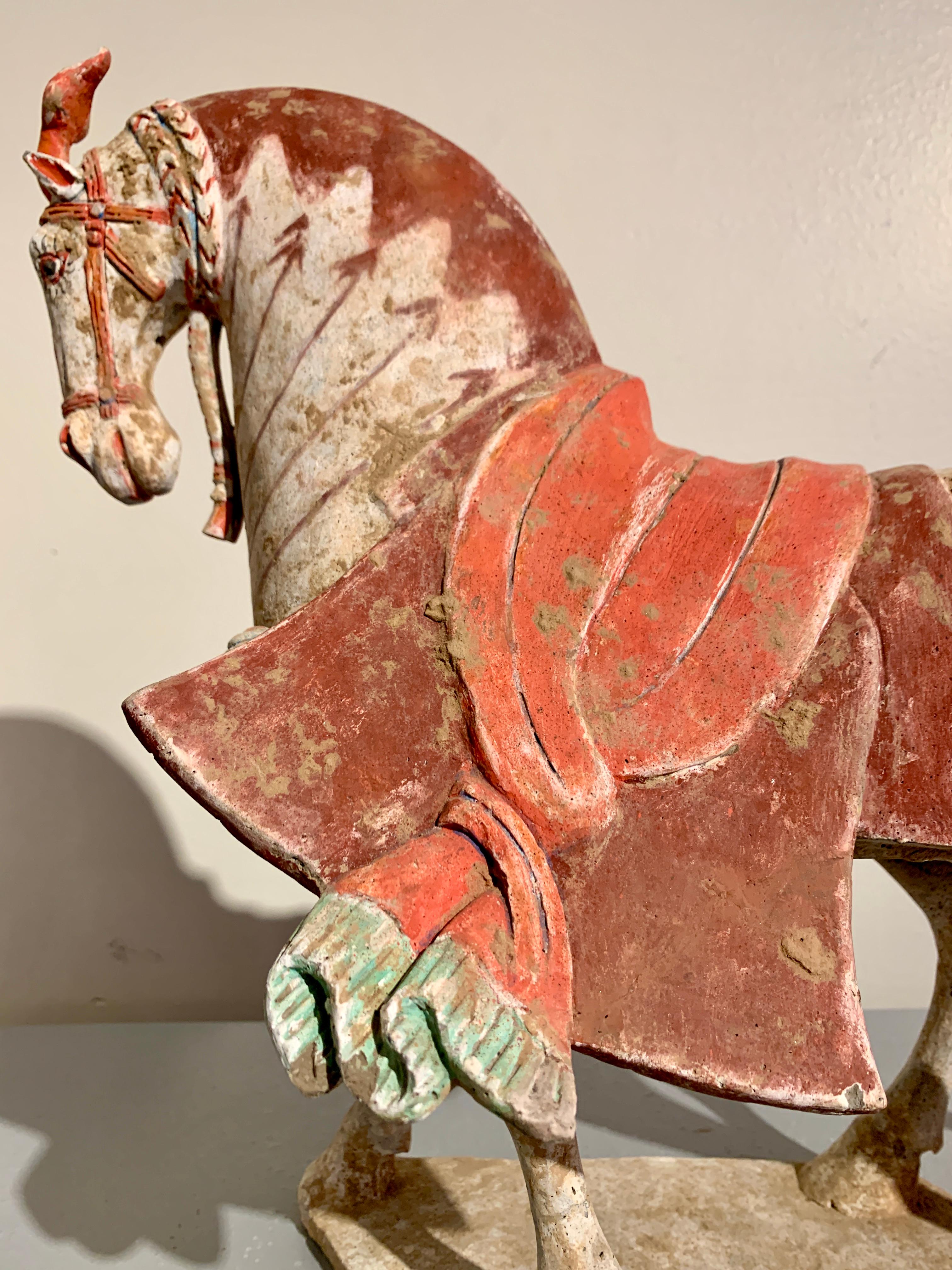 Northern Qi Dynasty Painted Pottery Striding Horse, 6th Century, China For Sale 7