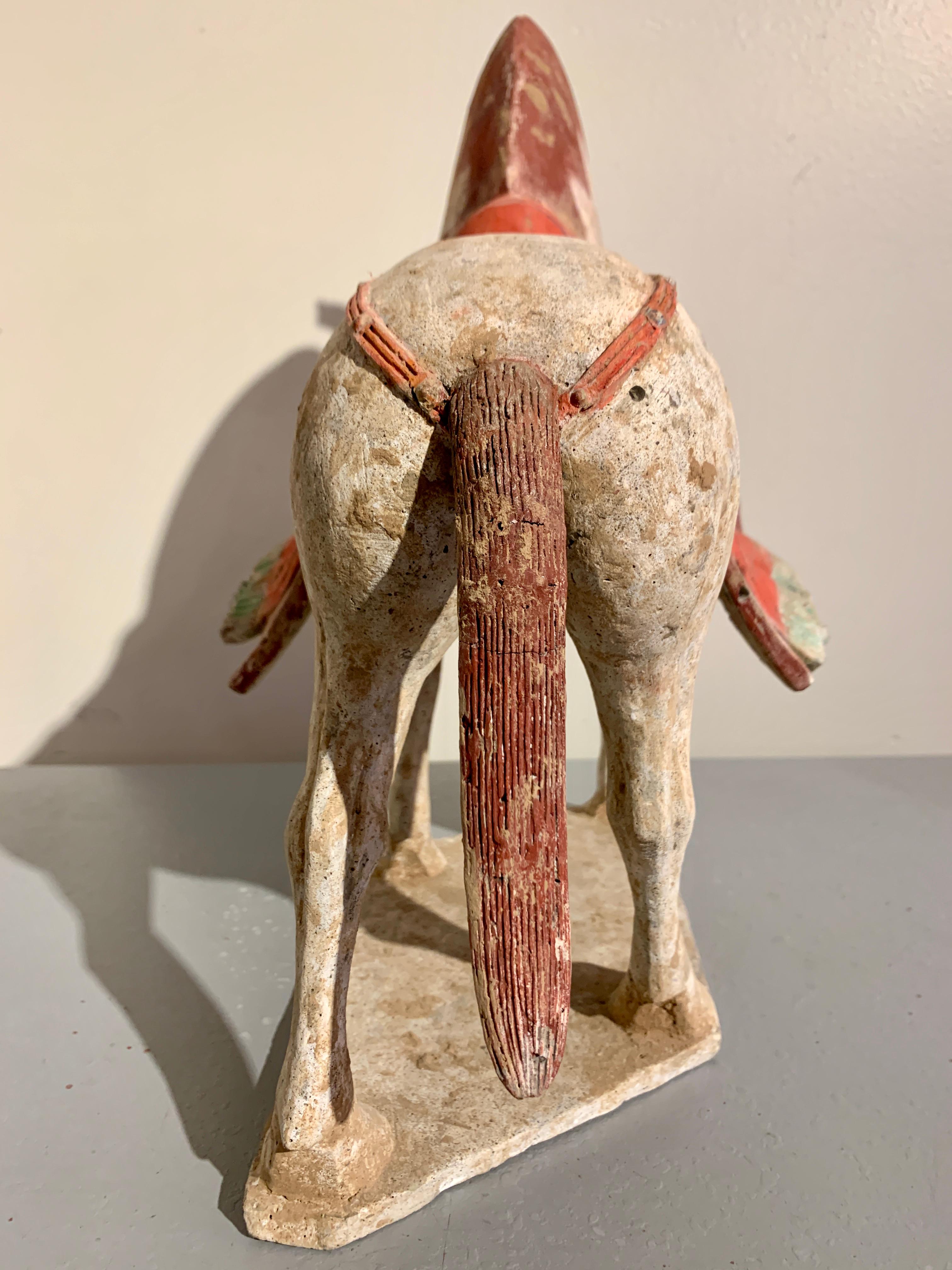Northern Qi Dynasty Painted Pottery Striding Horse, 6th Century, China For Sale 8