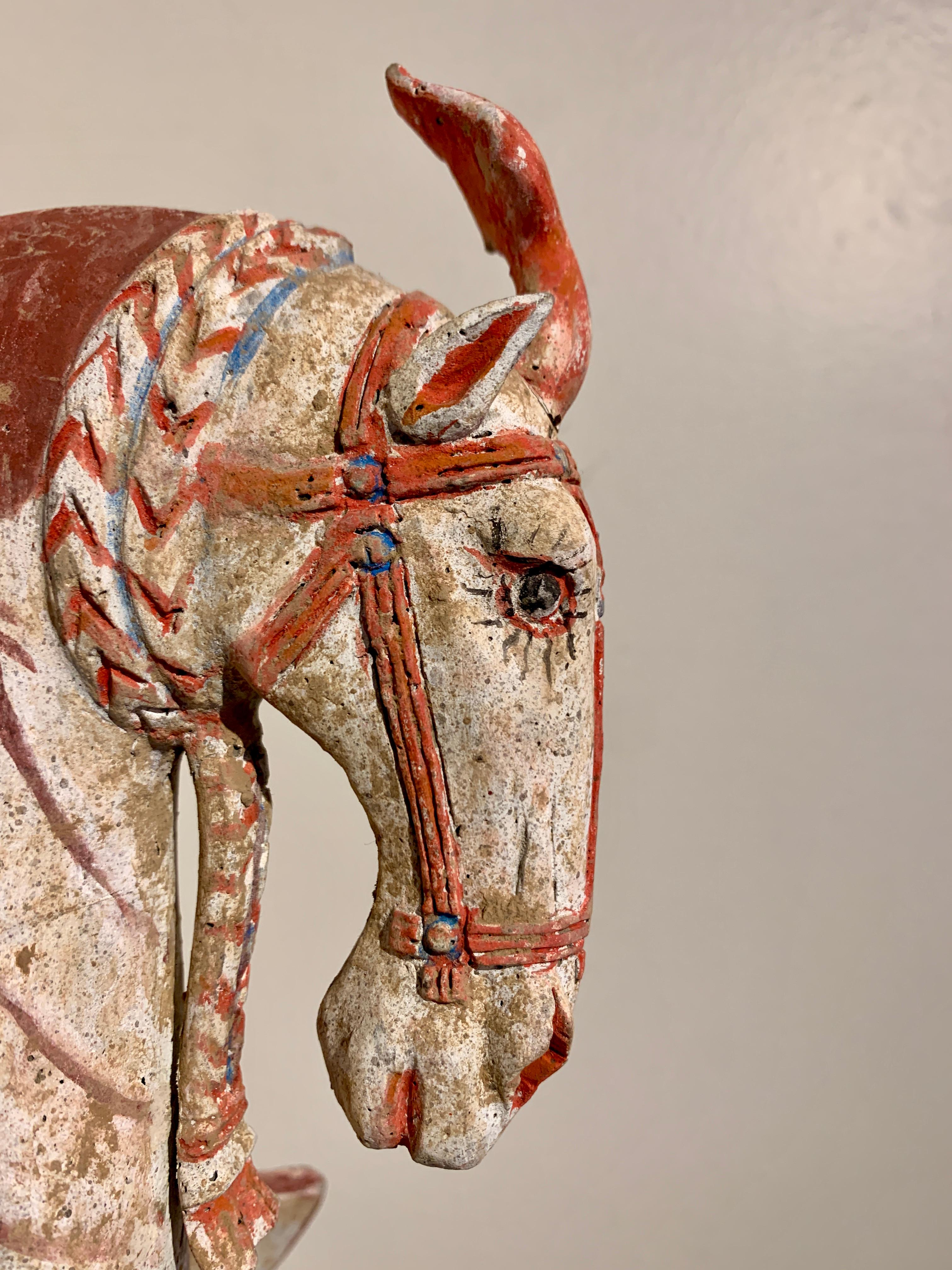 Northern Qi Dynasty Painted Pottery Striding Horse, 6th Century, China For Sale 9