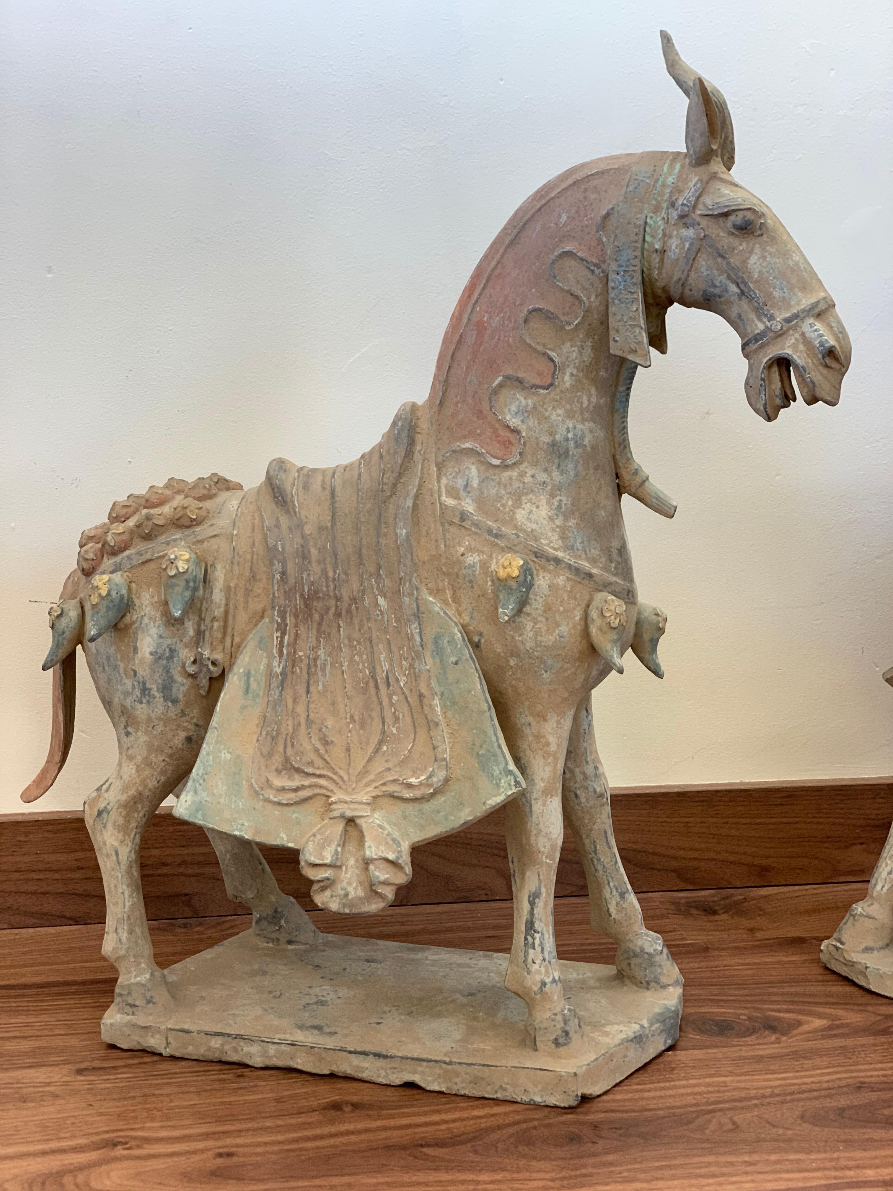  Northern Wei Dynasty Terracotta Horses, TL Tested,  '386 AD-535 AD' 1