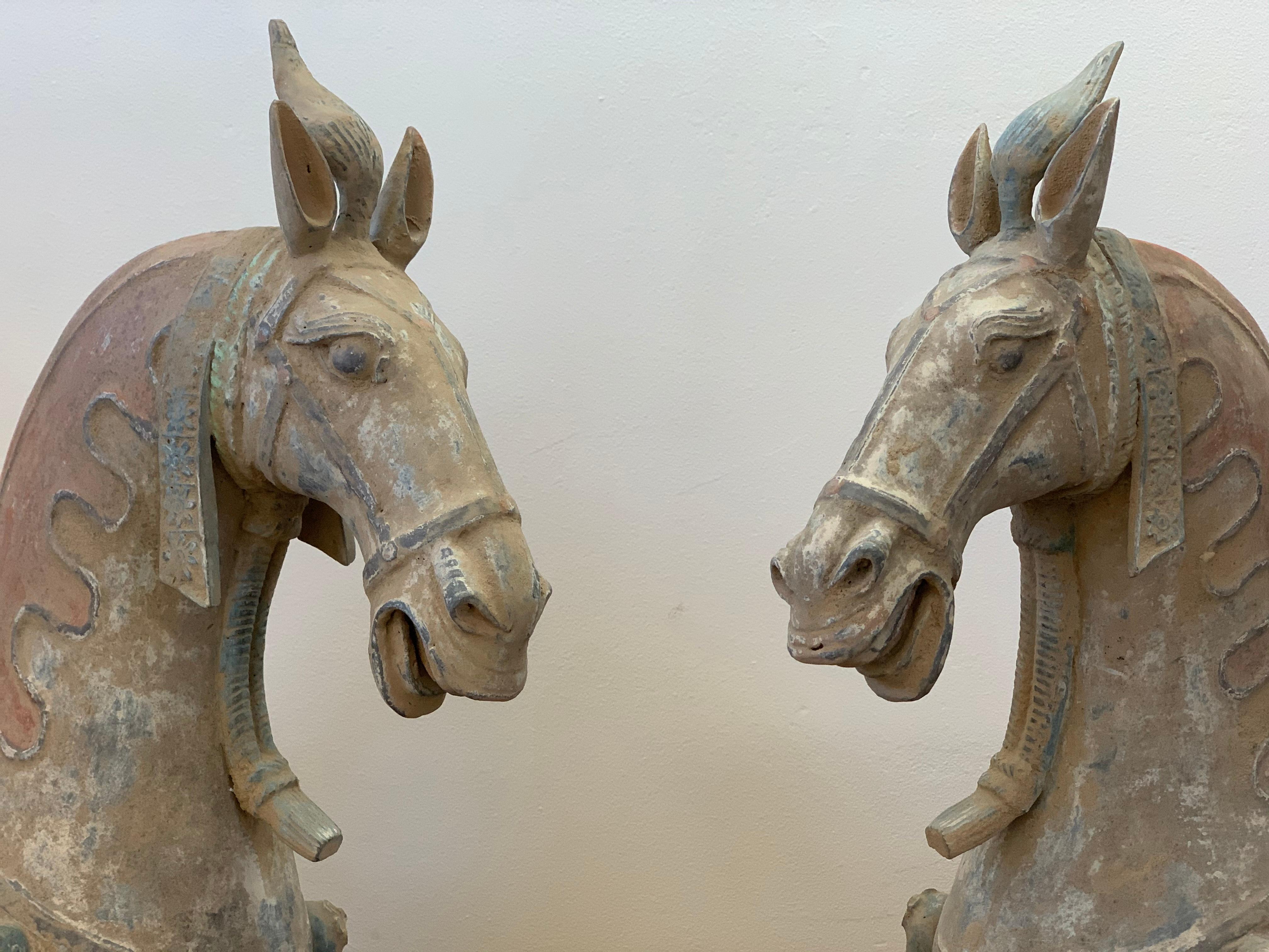  Northern Wei Dynasty Terracotta Horses, TL Tested,  '386 AD-535 AD' 2