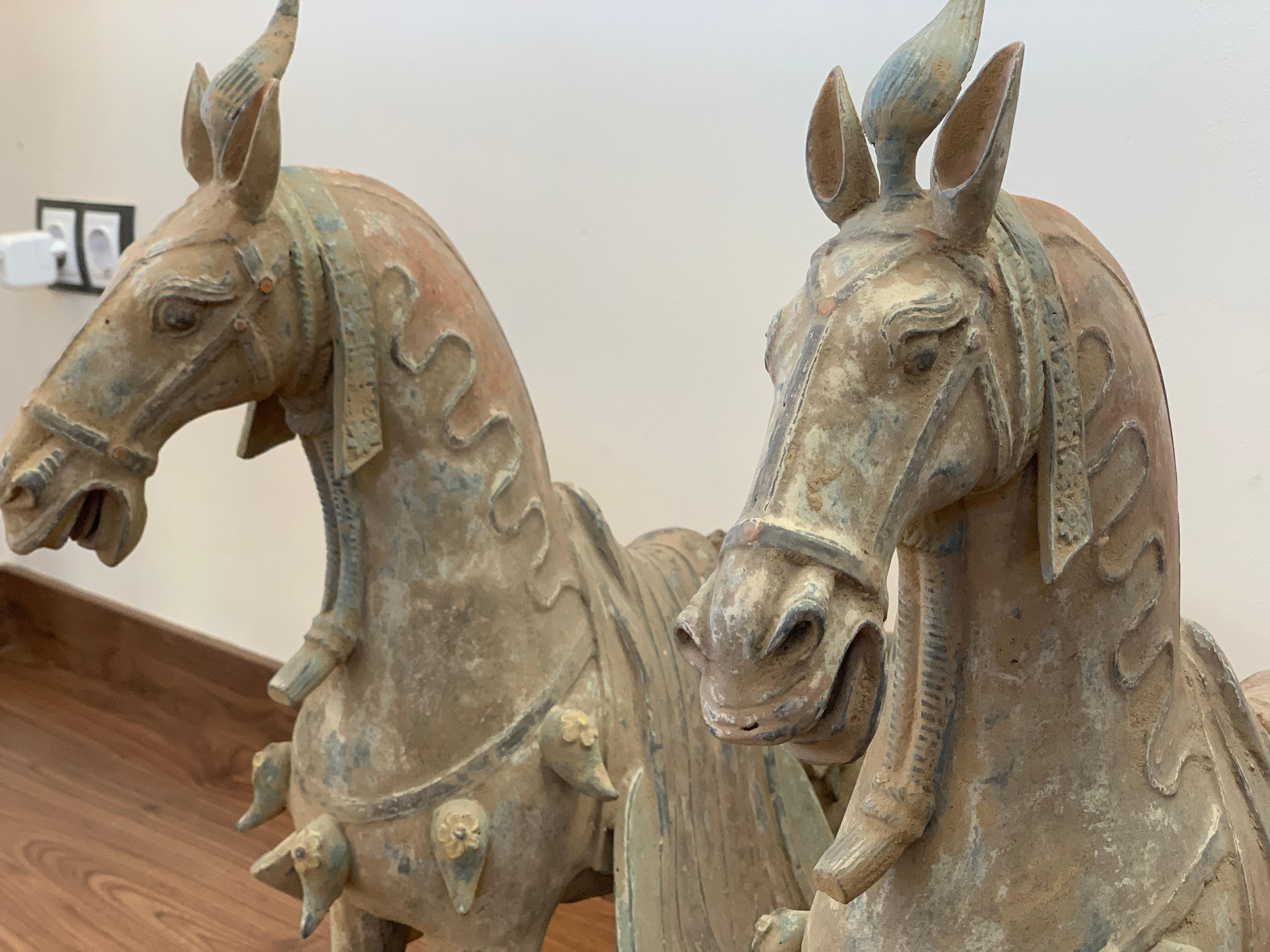 Northern Wei Dynasty Terracotta Horses, TL Tested,  '386 AD-535 AD' For Sale 3