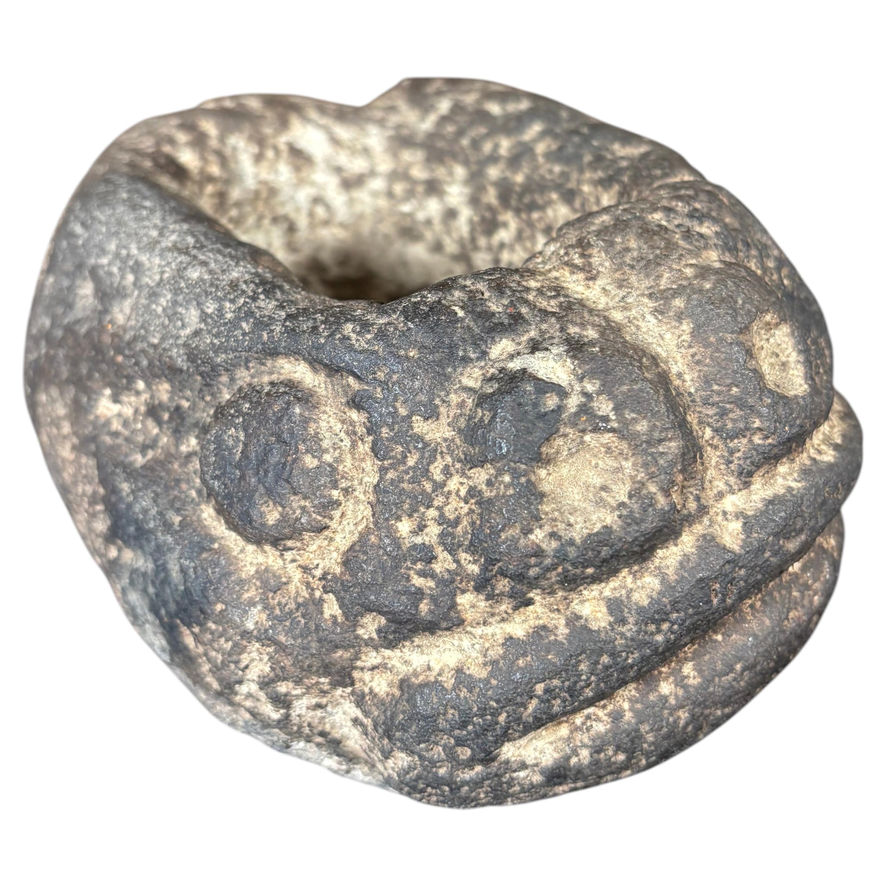 Bol à ours en pierre anciennement sculpté à la main sur la côte du Nord-Ouest, dont la provenance est documentée