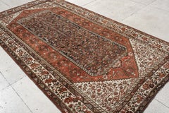 Northwest Persian Rug Classic Herati Pattern in Brick and Ivory