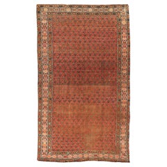 Fabric Persian Rugs